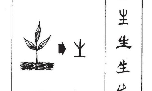 囊肿和的区别吗网 - 为你提供囊肿和脓肿的区别、囊肿跟肌瘤有什么区别